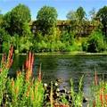 Riverside Inn Resort