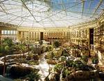 Gaylord Palms Resort