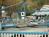 Dollywood::ThrillNetwork.com