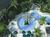 PGA National Resort & Spa::SpaFinder.com