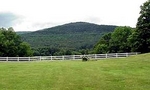 Tn-063359e