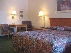 Web-msy_laqu-rooms-1