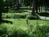 Carriage House Inn::ILoveInns.com