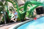 Tn-t24849_pool_01_f