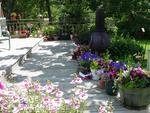Waterloo Gardens Bed and Breakfast