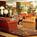 Marriott Park Ridge::Travelocity.com