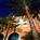 Hyatt Regency Lake Las Vegas Resort from Expedia