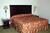 La Quinta Inn and Suites Albany Airport::Priceline.com