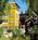Embassy Suites Hotel�� Napa Valley-Wine Country::Hotels.com