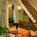 Clarendon Square Inn B & B::BedAndBreakfast.com