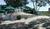 Bayside Resort Hotel::Hotels.com
