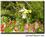 Best Value Carmel Resort Inn::Hotels.com