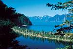 Kenai Fjords Tours
