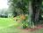 Long Dell Inn::BedAndBreakfast.com