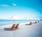 LaPlaya Beach & Golf Resort::Priceline.com