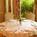 The Fearrington House::Travelocity.com