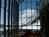 Goldminers Daughter::ProfessionalTravelGuide.com