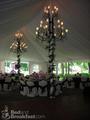 Waybury Inn