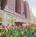 Hilton Chicago::Orbitz