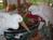 The Elephant Walk::TripAdvisor
