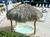Shephards Beach Resort Is Clearwater Beachs Premier Entertainment Resort.::Orbitz