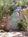 Azure Gate Bed and Breakfast Inn::BedAndBreakfast.com