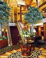 Tn-pvd_prvd-lobby-3