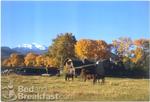 Margo's Mountain Suite Bed & Breakfast