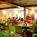 Courtyard by Marriott::Travelocity.com