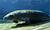 Days Inn Crystal River::Orbitz