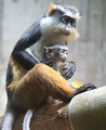 Cleveland Metroparks Zoo