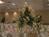 Holiday Inn Atlanta-Decatur::Orbitz