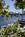 Blue Harbor House Inn::BedAndBreakfast.com