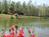 Montrose Hideaway Bed-and-Breakfast Retreat::BedAndBreakfast.com