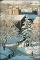 University of Colorado Museum of Natural History::Cumuseum