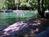 Wekiwa Springs State Park from Yahoo! Travel