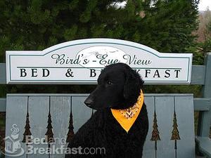 Bird's-Eye View B & B::BedAndBreakfast.com