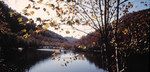 Tn-obed_earlyautumnriver