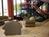 Quality Inn and Suites Kingston::Orbitz