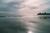 Hotel Santa Barbara::TripAdvisor