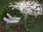 Parker House::TripAdvisor