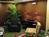 Holiday Inn Express and Suites Crossville::Orbitz