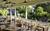 Kiahuna Plantation Resort::Orbitz