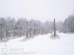 High Meadows Vineyard Inn::BedAndBreakfast.com