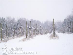 Web-scottsville-highmeadowsvineyardinn-nice