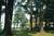 Manor On Golden Pond::Yahoo! Travel