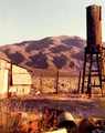 Tn-garlock1