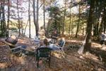 Tolland State Forest