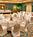 Marriott Columbia::ProfessionalTravelGuide.com