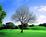 Temecula Creek Inn::Expedia